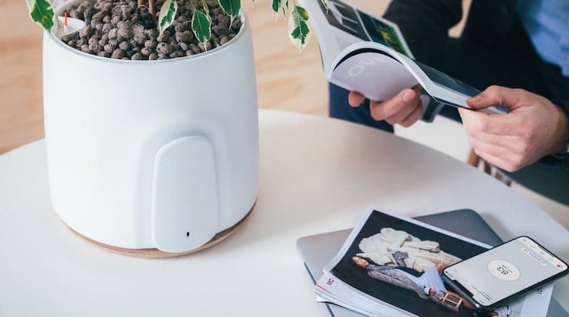 NATEDE: the stylish plant holder that doubles as an advanced air purifier