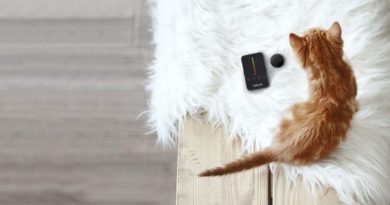 The best tracking devices and smart collars for cats